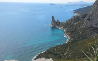 #selvaggioblu 2018 Giugno