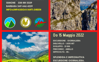 Trek-Campelli-unpassoavantigreen